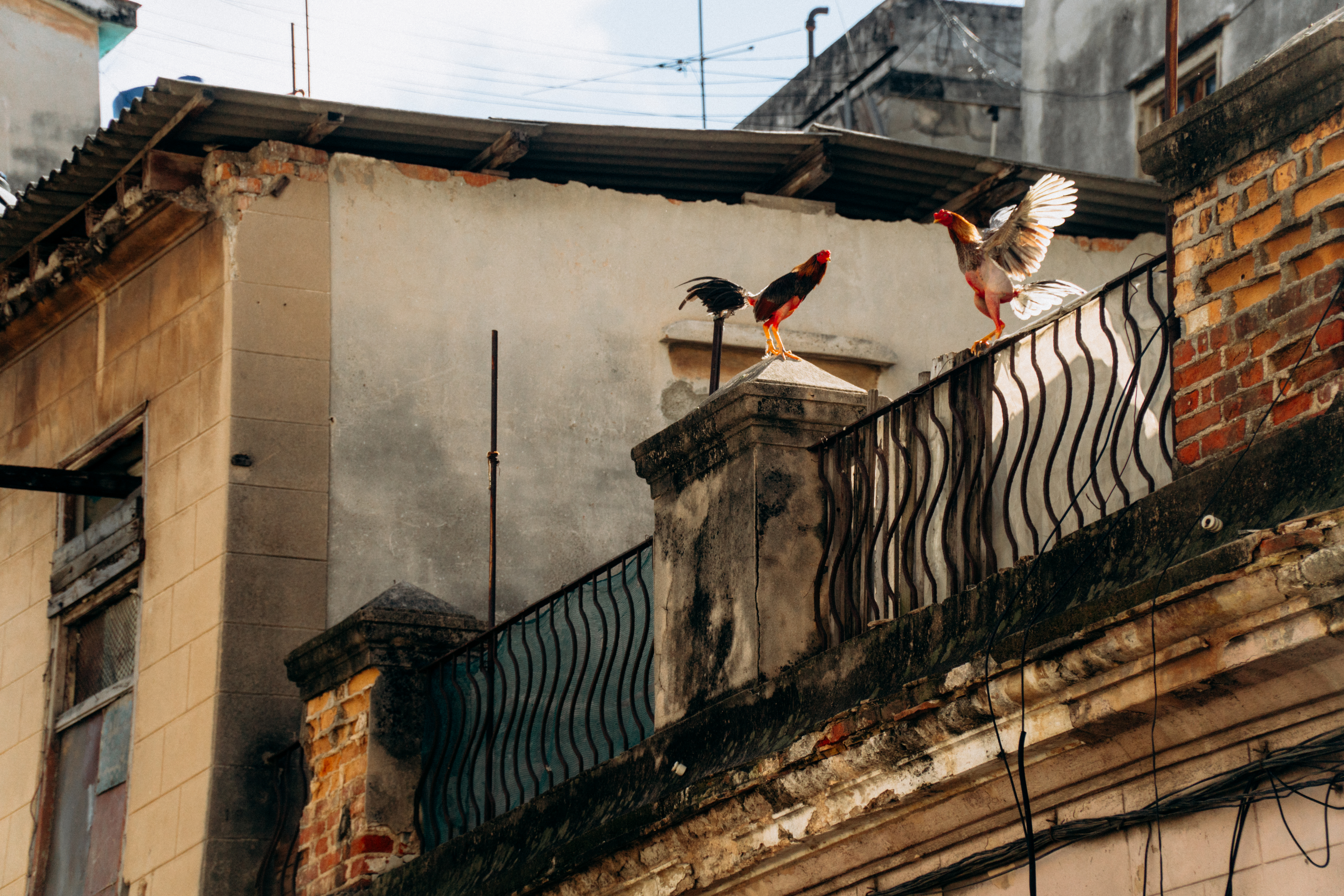 Property Management